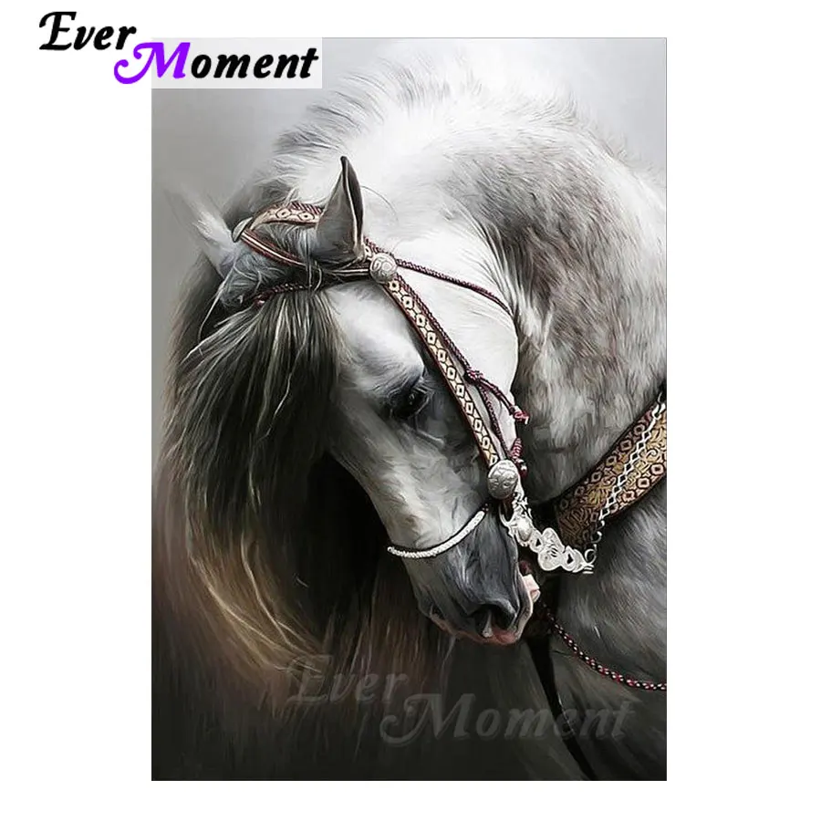 Когда-либо в настоящий момент 5D DIY алмазная живопись Белая лошадь Фото Мозаика
