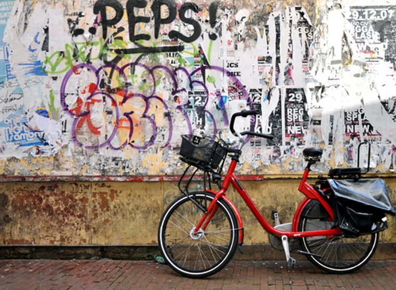 Photo wall wedding 150x300cm backgrounds art fabric achtergrond fotografie red bicycle props digital backdrops graffiti | Электроника
