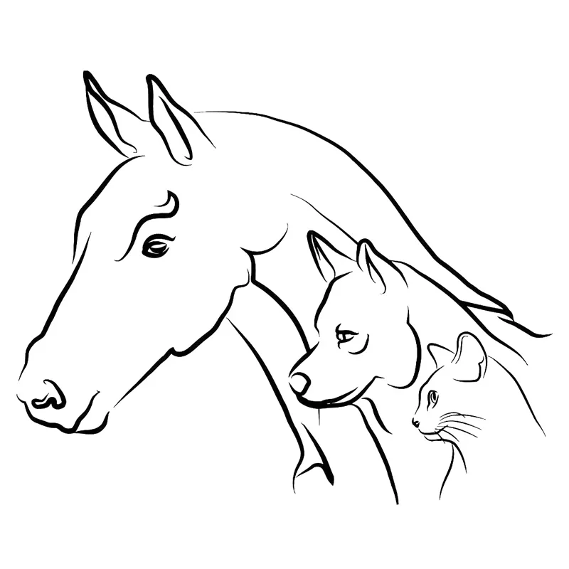 

18.8cm*15.3cm Animal Horse Dog Cat Fashion Car Sticker Car-Styling Decal Black wall sticker