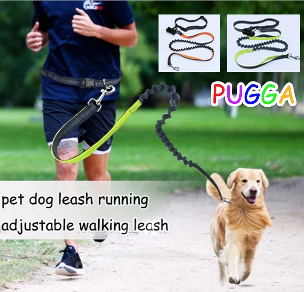 Нейлоновый пояс для бега поводок собаки с подкладкой на талии молнией сумка