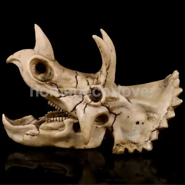 

Aquarium Dinosaur Skull Resin Fish Tank Landscaping Decor Decorative Craft