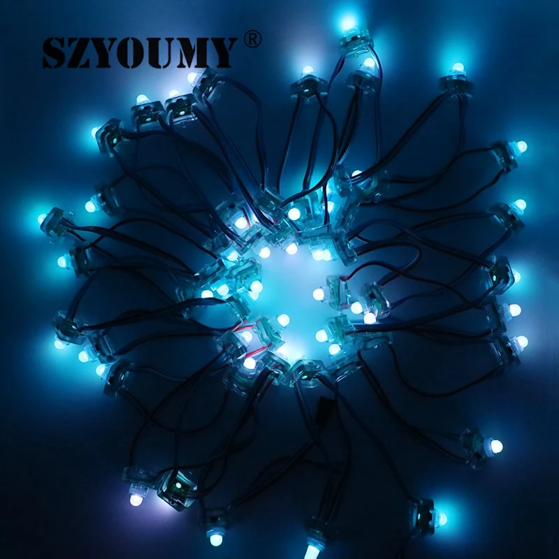 SZYOUMY DC 12V 5V LED квадратный диффузный модуль WS2801 WS2811 адресуемый RGB Pixel String 12mm Node Light IP68