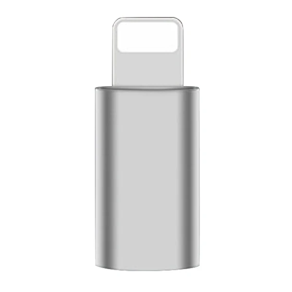 Серебристый ACCEZZ Mini Micro USB для освещения для Apple адаптер для iphone X XS XR 6 7 5 Plus синхронизация данных Зарядка OTG конвертер для ipad Mini - Цвет: Серебристый