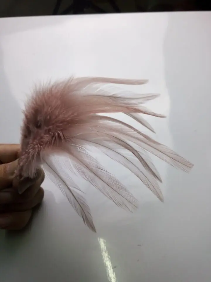 Ожерелье фазана 4 6 дюймов/10 15 см 20 шт.|pheasant feather|feather featherdecorative feathers |