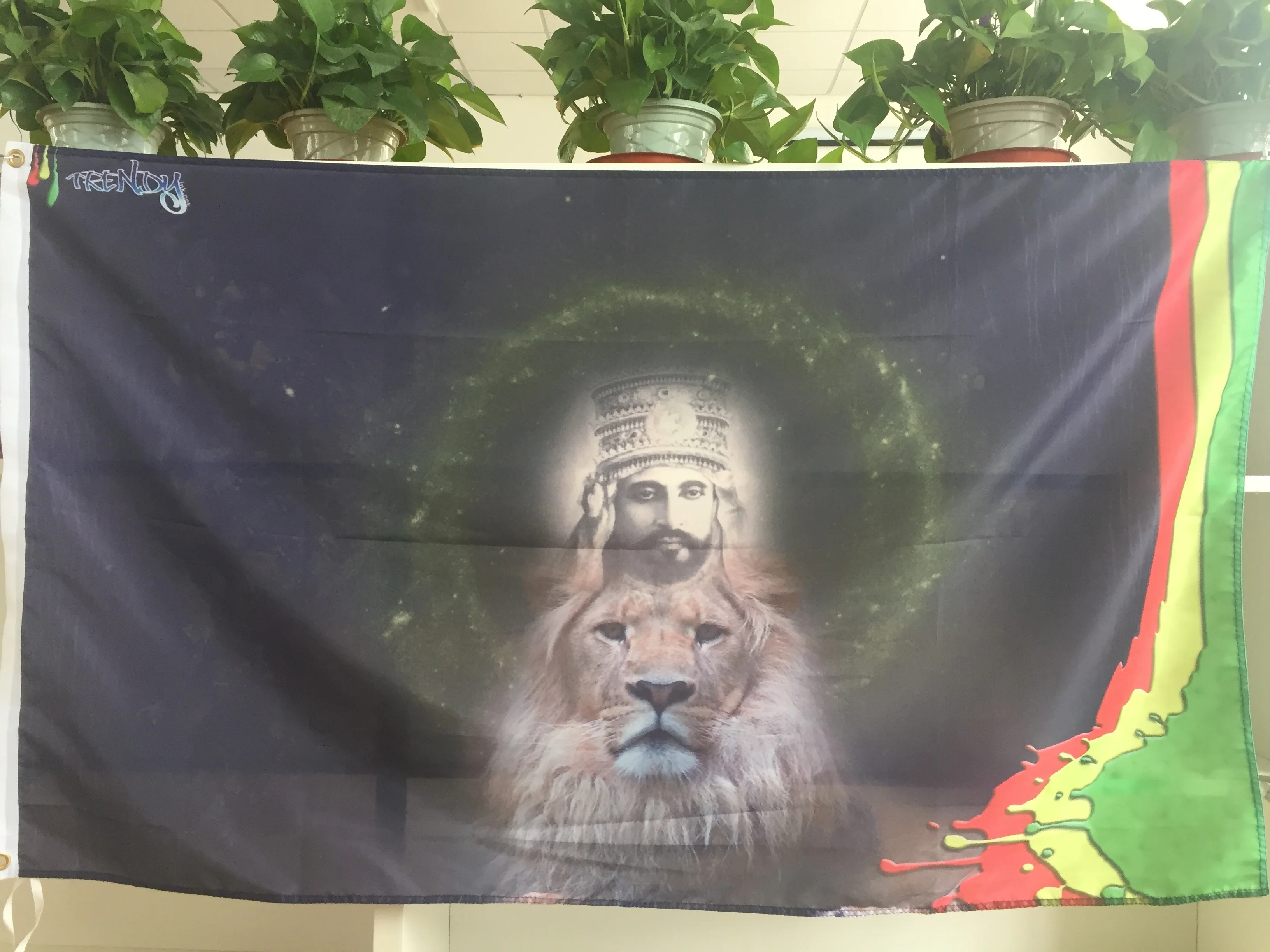 Jamaica Rasta Jah Lion flags тканевое украшение 3' x 5 'поли|Флаги баннеры и аксессуары| |
