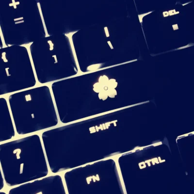 black Cherry Blossom ABS прозрачная подсветка Клавиша ввода s CS GO вишневые цветы Corsair razer Blizzard Cat коготь механическая клавиатура OEM клавишная крышка - Цвет: black Cherry Blossom