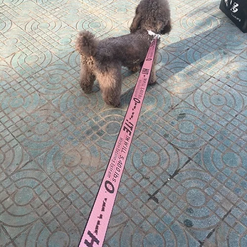 Pink Leash Ошейник для собак, нейлоновый поводок, модный ошейник для щенков, для маленьких собак, поводок для бега, поводок для собак, нейлоновая веревка для маленьких щенков, кошек - Цвет: Pink Leash