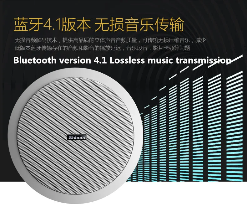 Shinco V2 Беспроводная Bluetooth потолочная акустическая система потолочная фоновая музыка Радио Колонки