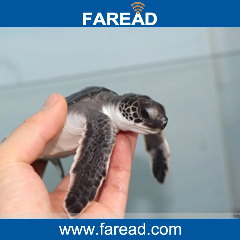 Free shipping x1pc FDX-B chip Scanner for dog cat mouse turtle,arowana,snake+ x60pcs mini 1.25*7mm RFID microchip for animal