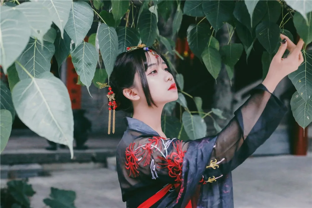 Hanfu черные сценические костюмы, костюм для китайского традиционного танца, костюм для восточных фестивалей, одежда для народных выступлений DC1808