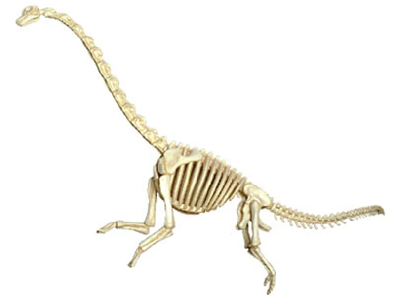 Brachiosaurus 4d мастер головоломка сборка игрушек биология животных динозавр