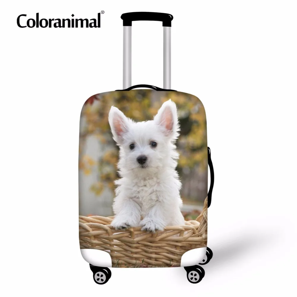 Coloranimal милая собака мопс цветочный костюм с рисунком в виде чехол эластичные