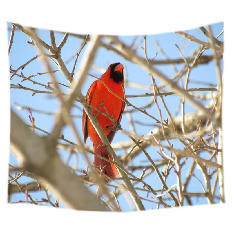 Северная Бриллиантовая хиппи домашняя декоративная настенная подвесная