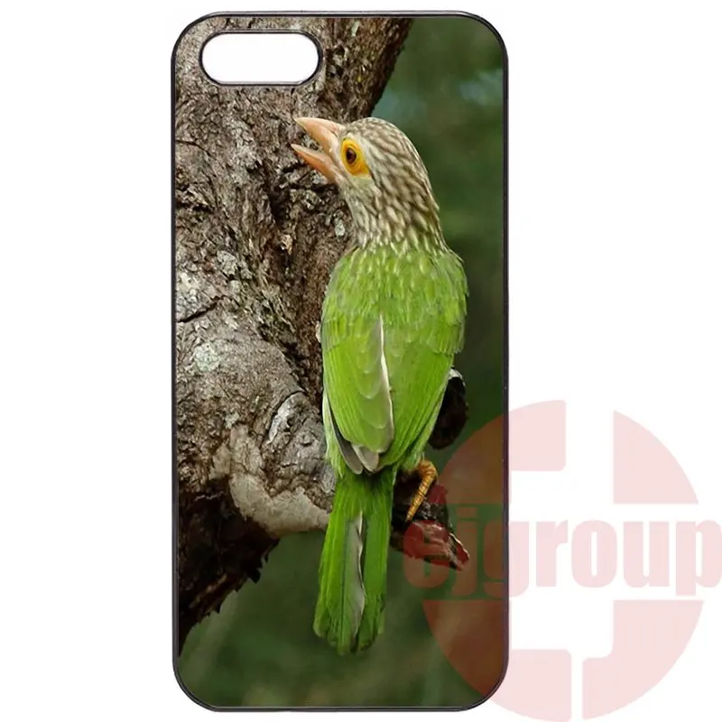 For Meizu MX4 MX5 Pro 6 m1 m2 m3 note OnePlus 1+ Two X 3 Painting Black Skin tropical toucans | Mobile Phone Cases &amp Covers
