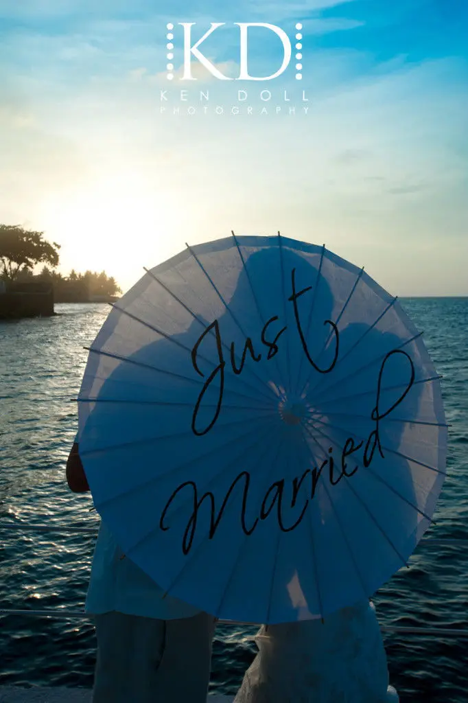 [Fly Eagle] популярный Милый Винтажный бумажный Зонт розового цвета для свадебной