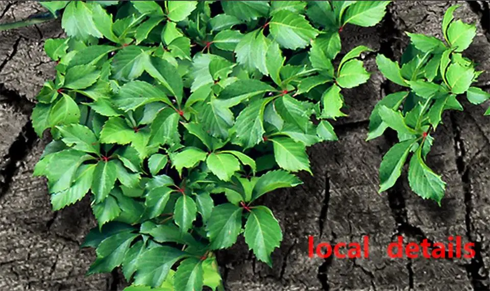 3d обои на заказ фотообои для гостиной настенные оригинальные листья Карта мира