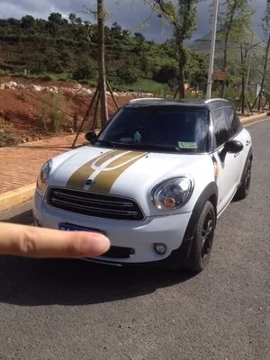 Автомобильный капот и багажник Чемодан дверные украшения Стикеры для Mini Cooper Countryman R60