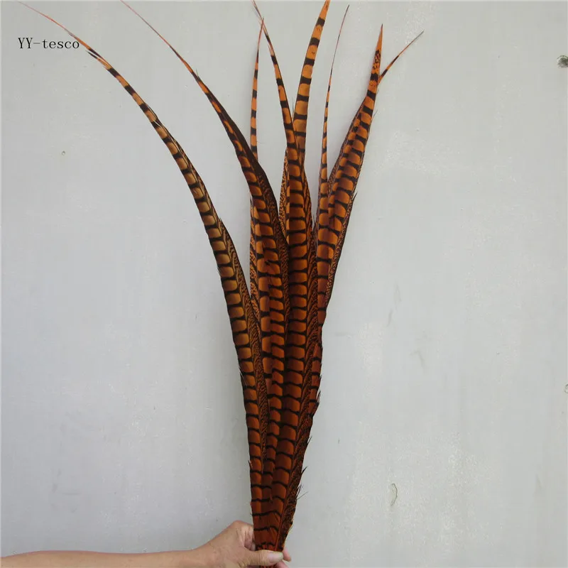 

YY-tesco 50pcs/lot natural lady Amherst pheasant feather 80-90CM 32-36 inch ornament wedding decoration Orange pheasant feathers