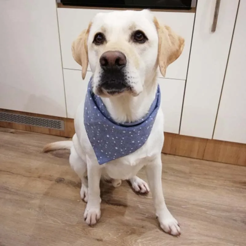 Собака и кошка шейный шарф Регулируемый для собак Галстук чистое полотенце
