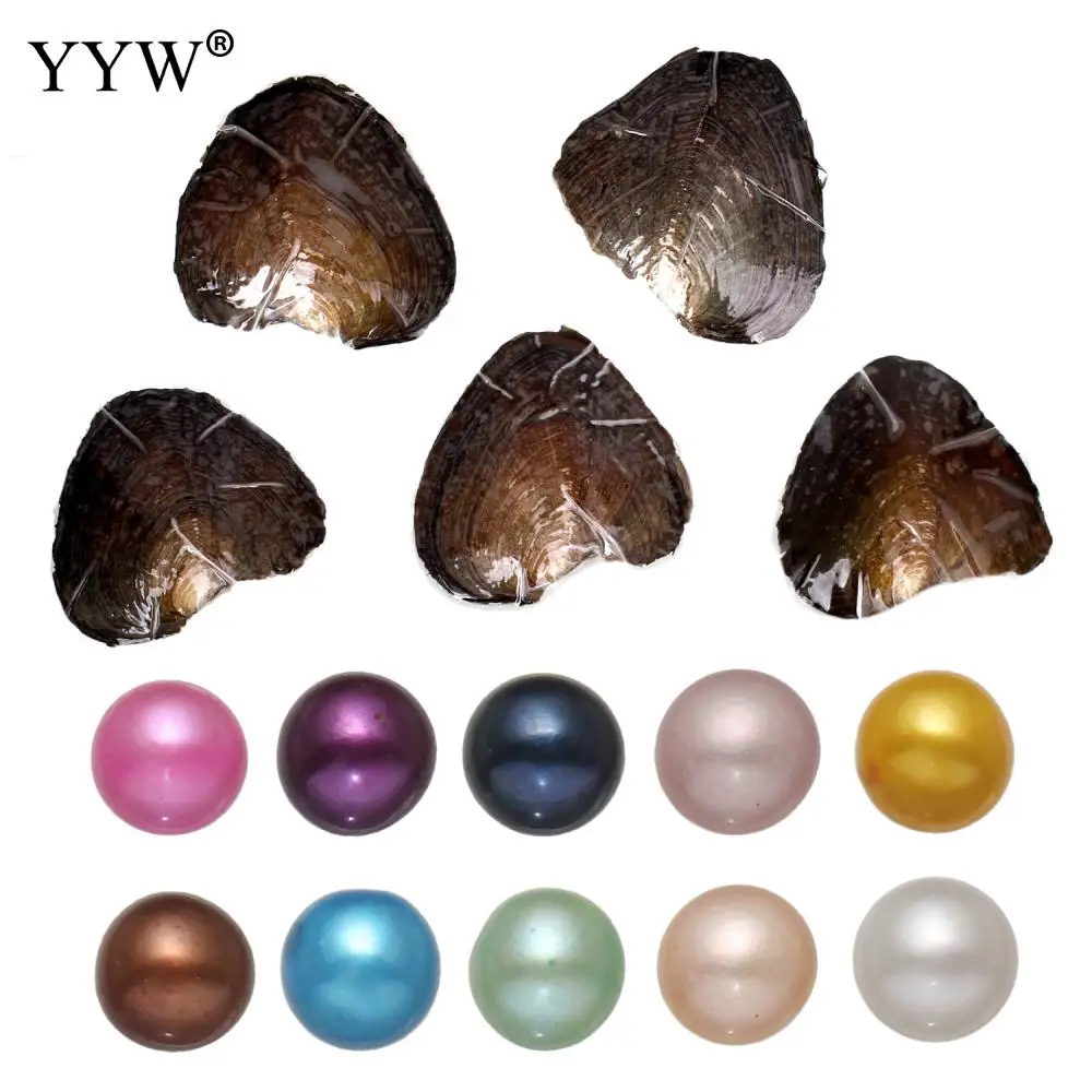 Вакуумная упаковка устричный жемчуг окрашенные бусины жемчужные устрицы