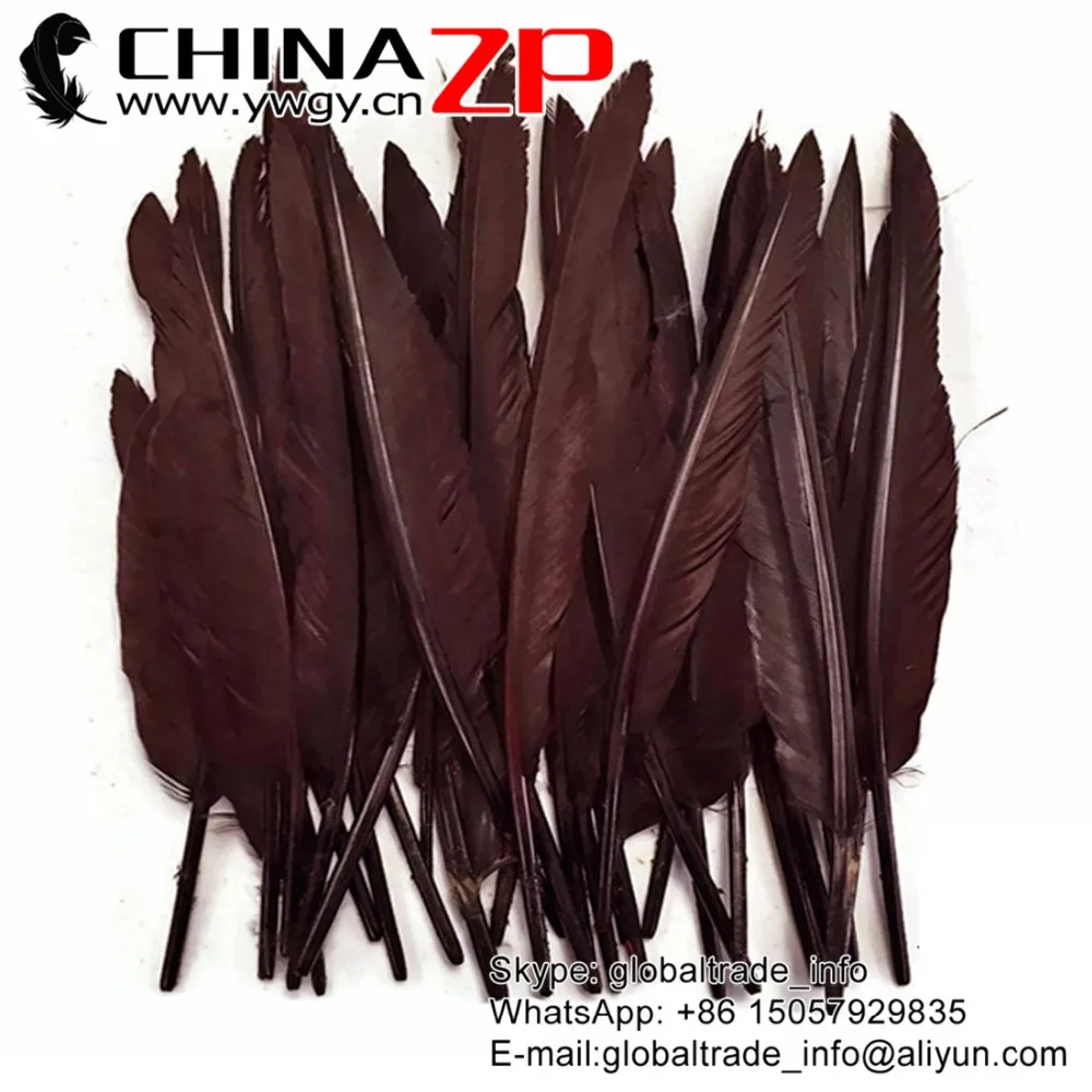 

Factory Outlets 100pcs/lot 30~35cm Length High Quality Dyed Brown Duck Pointer Primary Wing Feathers for Performance Costumes