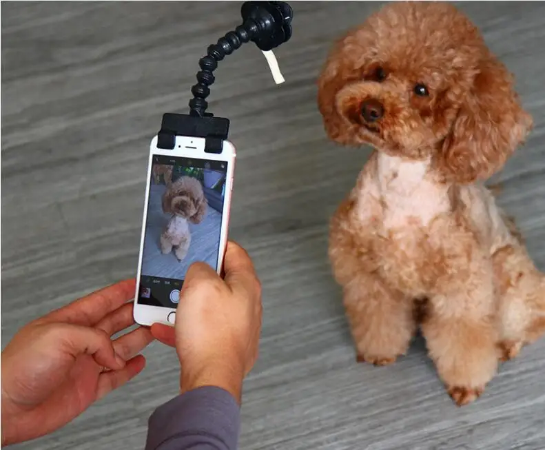 Pet Selfie Stick for Pets Dog Cat fit iPhone Samsung and Most Smartphone Tablet Black/White Drop Shipping 10PCS | Электроника