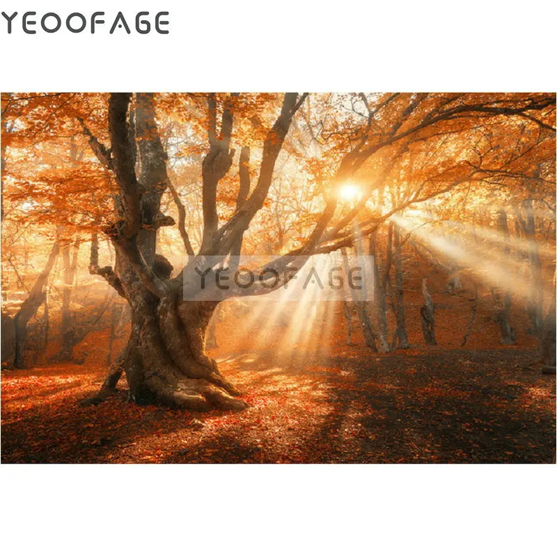 

Diamond Painting Cross Stitch picture Full Diamond Embroidery Mosaic Forest landscape Handicrafts diamond arts stickers