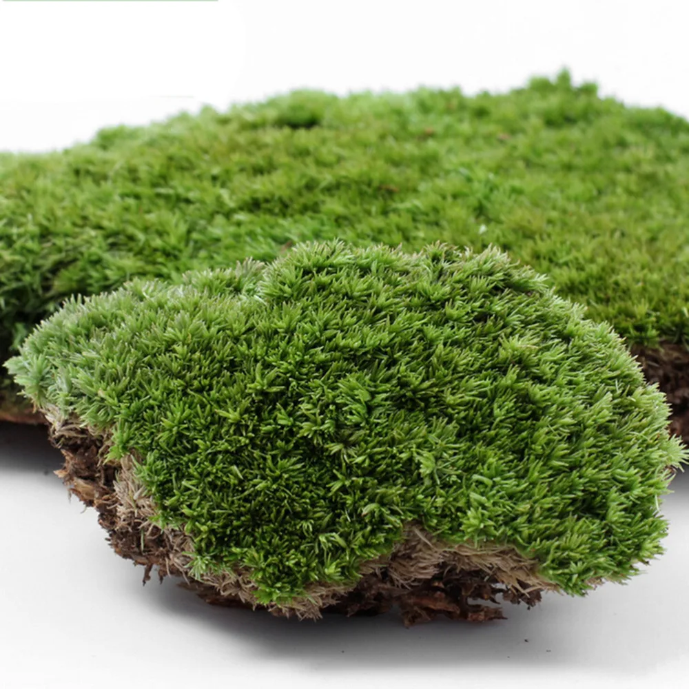 1 шт. Искусственный мох искусственная трава для украшения сада|grass artificial|grass lawngrass