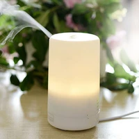 3 in1 led night light usb essential oil ultrasonic aromatherapy protecting air humidifier dry electric fragrance diffuser 2019