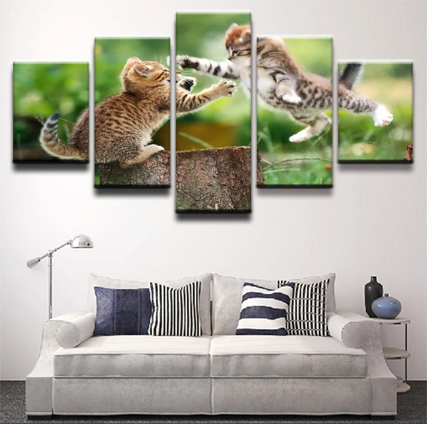 JIE DO книги по искусству плакат гостиная стены фотографии 5 шт. животных кошка