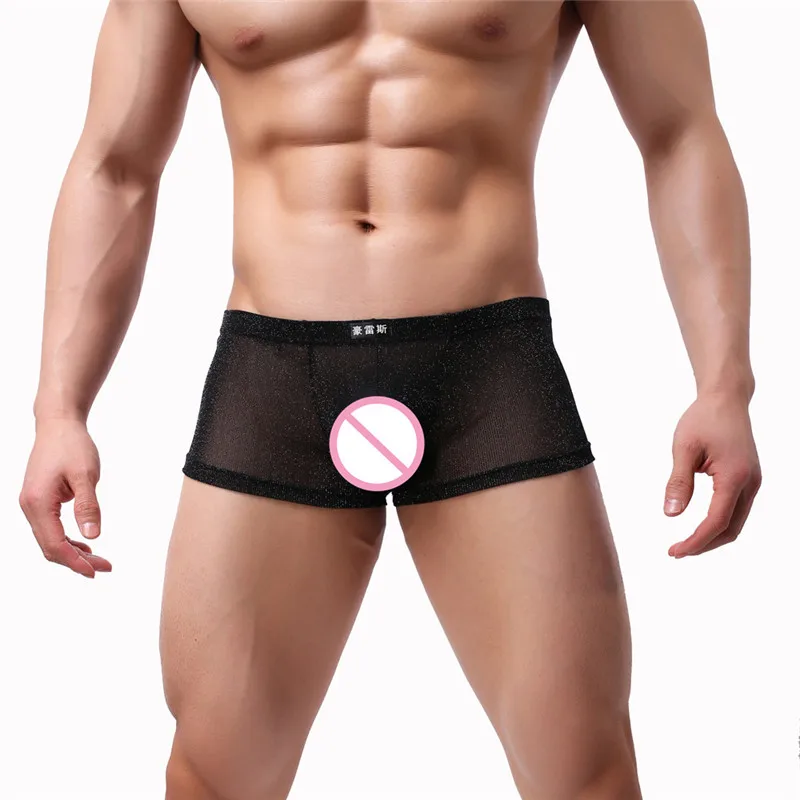 6PCS Men's Mesh Boxers Sexy Underwear Transparent Nylon See-Through Gay Male Underpants Panties Thin Breathable Gauze Net Boxers