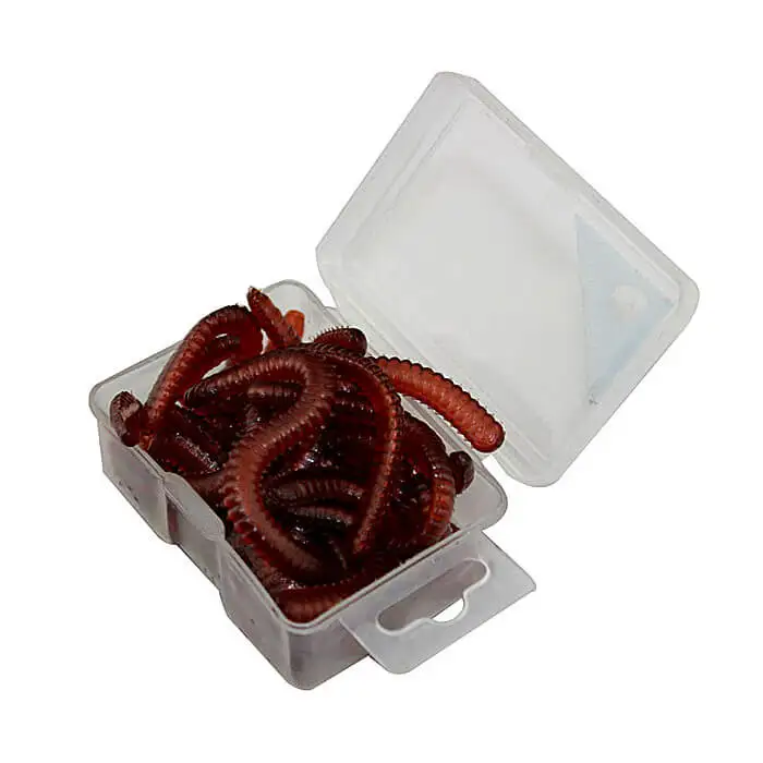 Мягкий дождевой червь 1 коробка рыболовная приманка бионические приманки