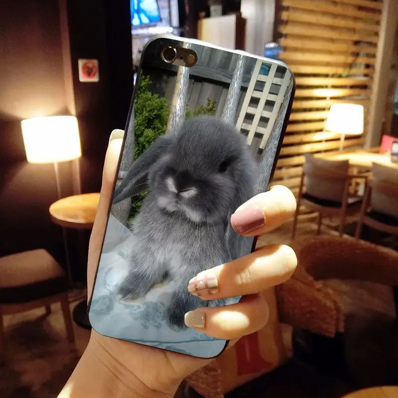 MaiYaCa животное большие уши кролики чехол для iPhone X 8 7 6 6S Plus 5 5S SE 4S | Мобильные