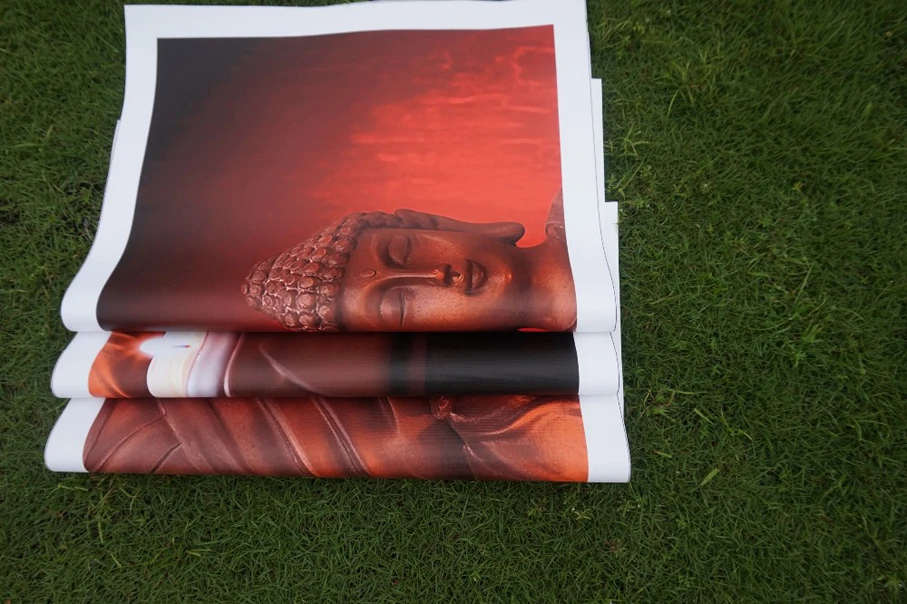 Картина на холсте денежное дерево 3 шт. | Дом и сад