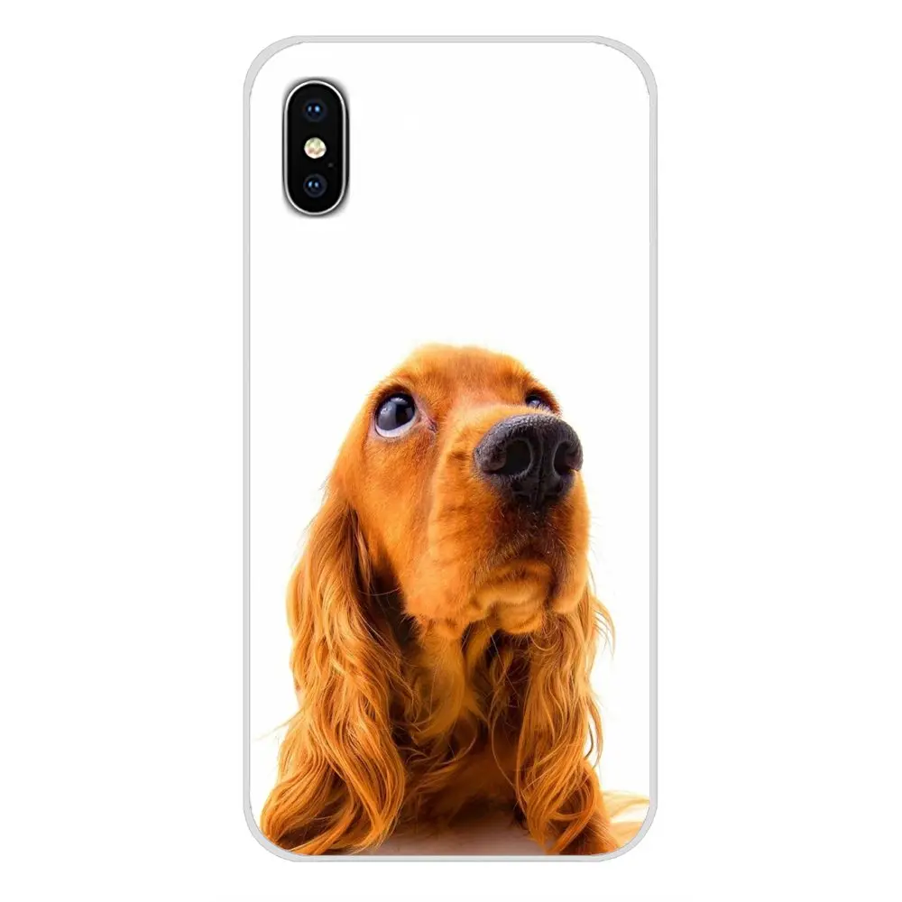 images 11 Аксессуары для мобильного телефона Чехлы для Samsung Galaxy A3 A5 A7 A9 A8 звезда A6 плюс английский щенок кокер собака спаниеля - Цвет: images 11