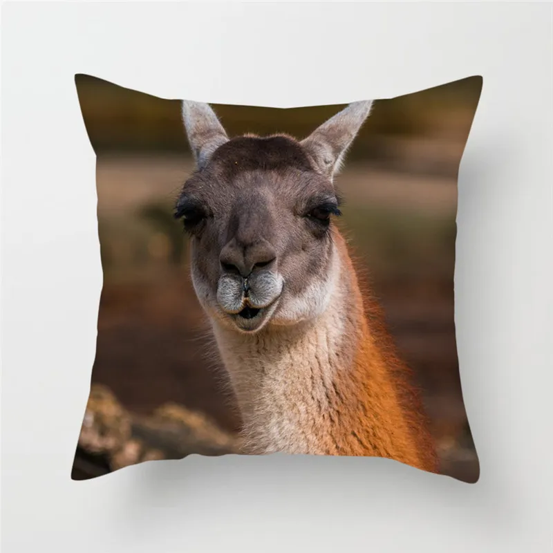 

Fuwatacchi Animals Cushion Cover Black White Alpaca Cute Expression Pillow Cover for Home Chair Decoration Pillowcases 45*45 cm
