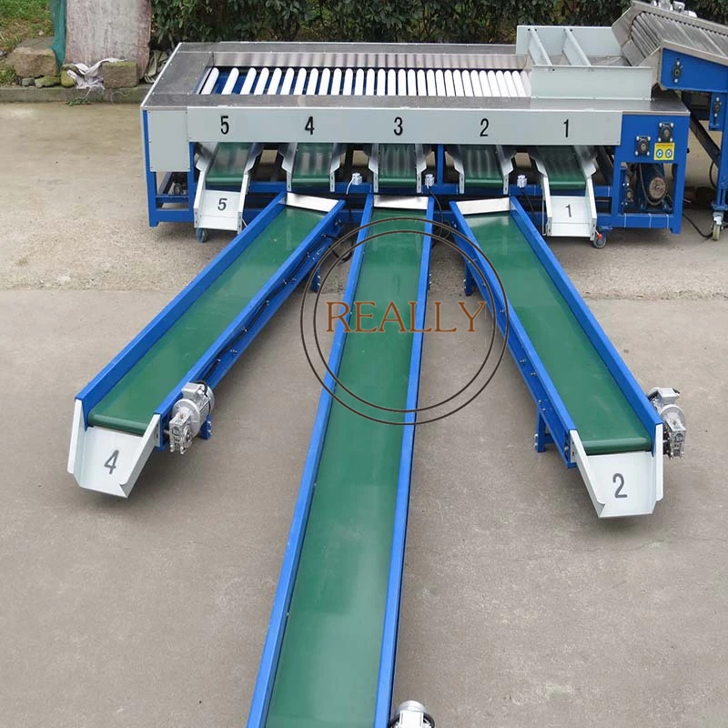 custom orange washing and roller sorter machine tomato sorting machine for fruit