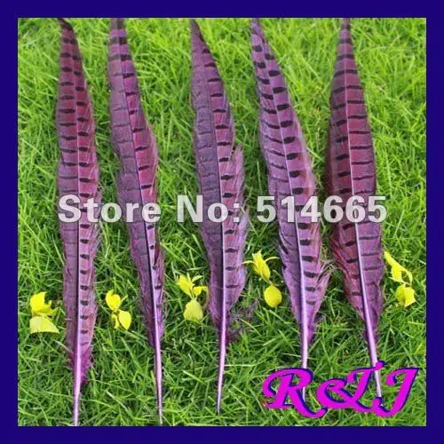 

Free Shipping 100pcs/lot purple golden pheasant Feather product For Party Performance Approx 30-35cm 12-14inch