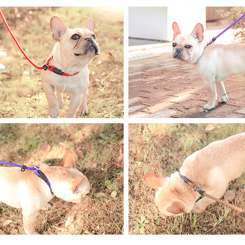 Поводки для питомцев поводки собак нейлоновые регулируемые тренировок | Дом и