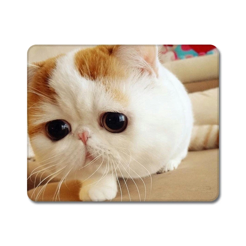 Милый котенок кошки природа резиновый стол коврик для мыши ноутбук корпус |