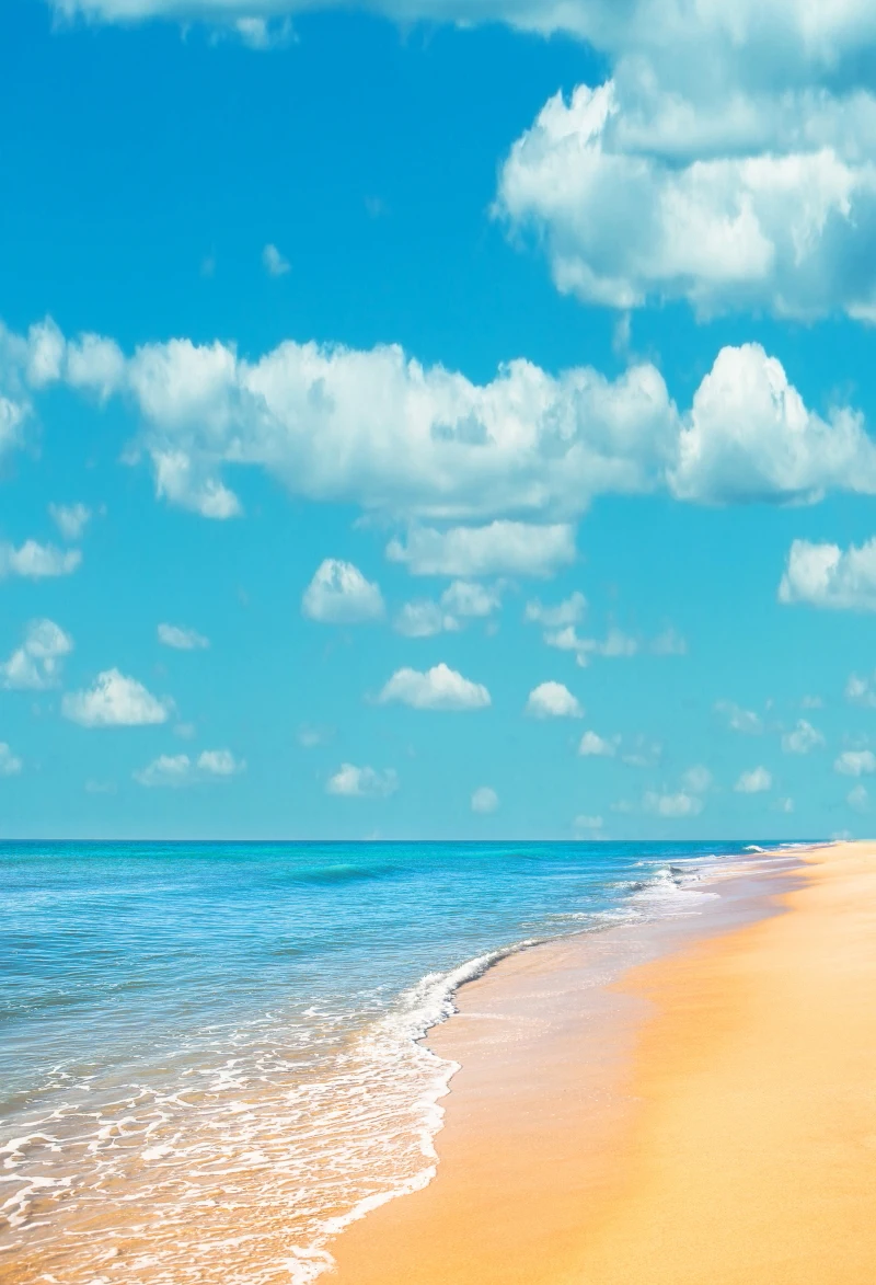 

Фон для студийной фотосъемки с изображением морского берега и пляжа