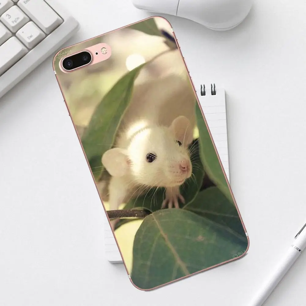 Qdoupz граффити крыса носить очки Ist Banksy для iPhone 4 4S 5 5C SE 6 6S 7 8 Plus X XS Max XR Galaxy A3 A5 J1 J3 J5 J7 - Цвет: as picture