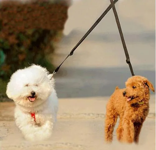 Pet тяговые линии черный нейлоновый поводок для собак длинные ходячие поводки