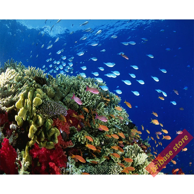 Морской рыбы океан фотографии 100x60 см 70x60 шелковой ткани плаката