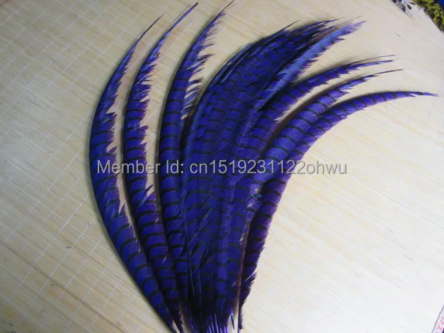 

Wholesale perfect 100pcs high quality natural Lady Amherst Pheasant Feathers 32-36inch/80-90cm Decorative diy purple