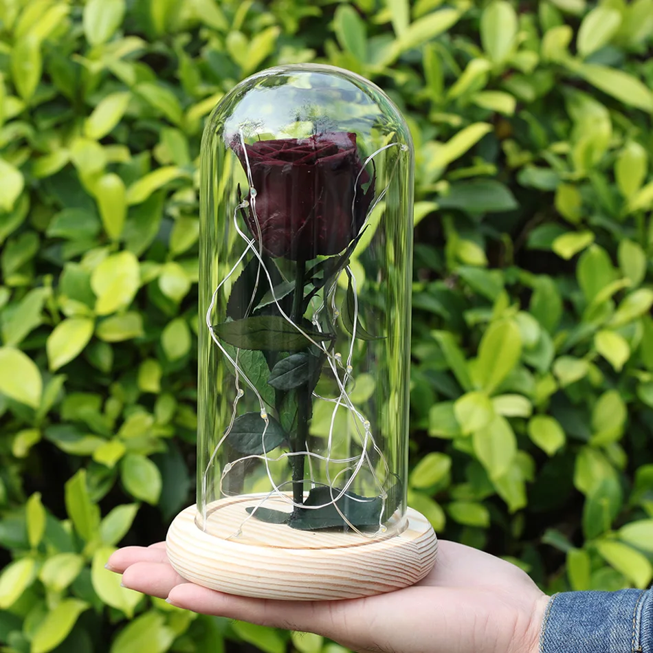 PreservedFreshFlower Красота и чудовище роза с куполом сохранились Роза Металлические Розы Зачарованный Роза ручной работы роза с светодиодный свет - Цвет: 03