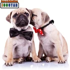 Новая 3D Алмазная вышивка, мозаика с изображением красивой пары собак, алмазная живопись сделай сам, полная картина, алмазная Вышивка крестиком, картина в подарок