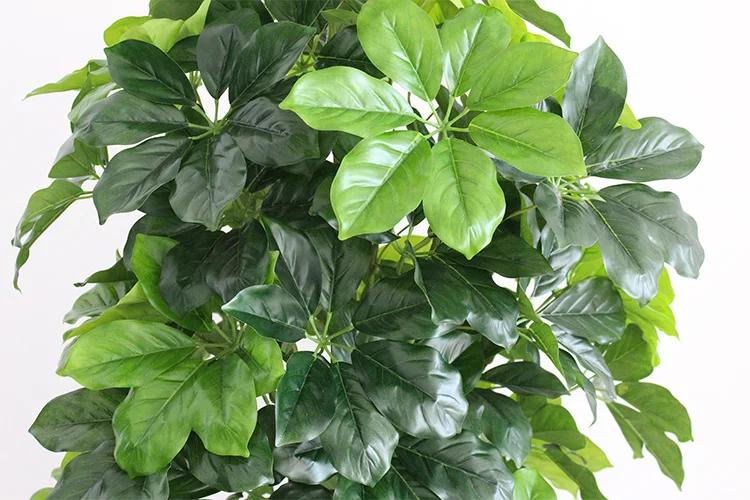 Гостиная моделирование завод дерево большой отель этаж цветочный поддельные