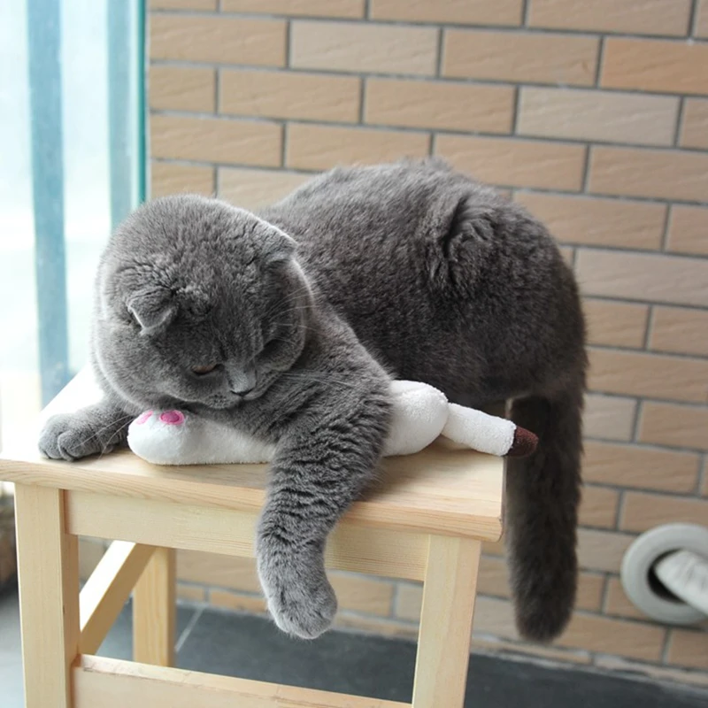 [MPK игрушки для кошачьей мяты] игрушка мяты подушка дизайна лапы|Игрушки кошек| |