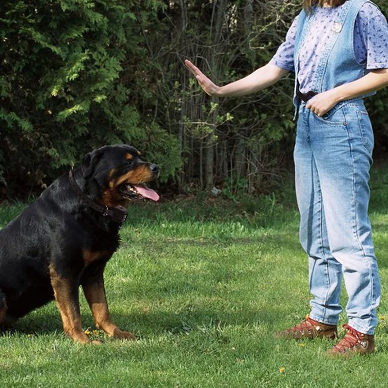 Перезаряжаемый и водонепроницаемый тренировочный ошейник для собак с